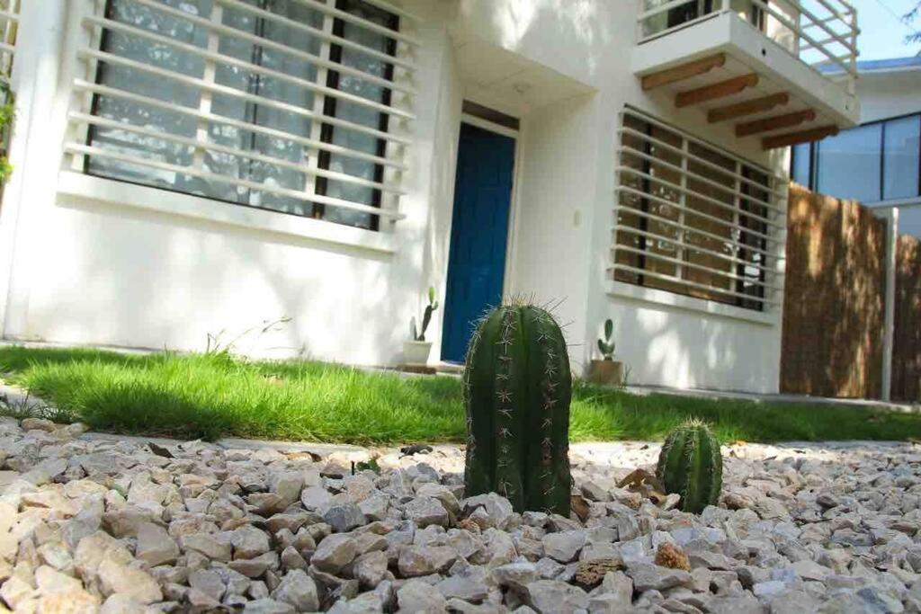 Casa Buda Liberia Cerca Del Aeropuerto Екстер'єр фото